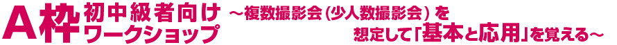 A枠 初中級者向けレッスン